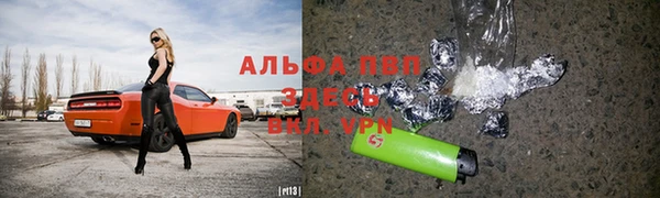 шишки Бородино