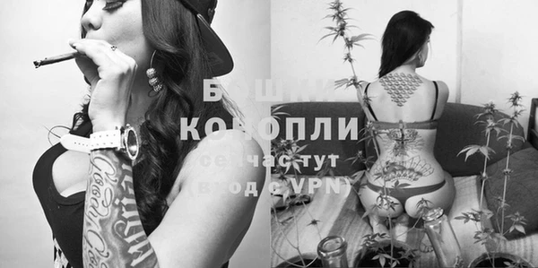 стафф Бронницы