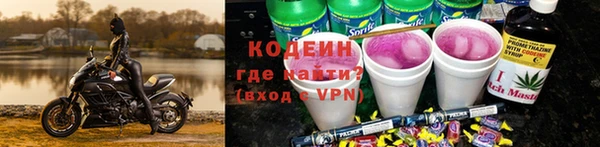 шишки Бородино