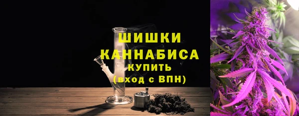 шишки Бородино