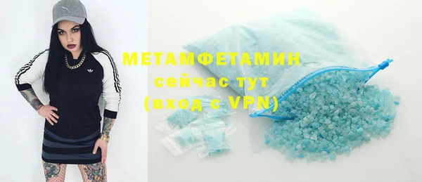 шишки Бородино