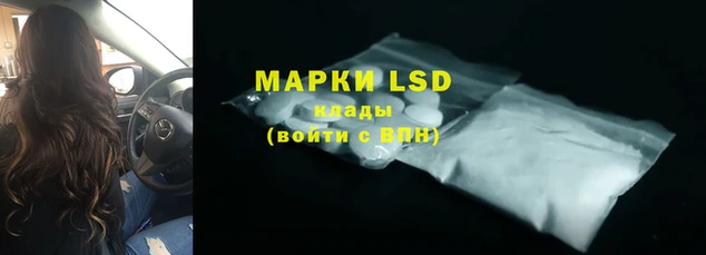 стафф Бронницы