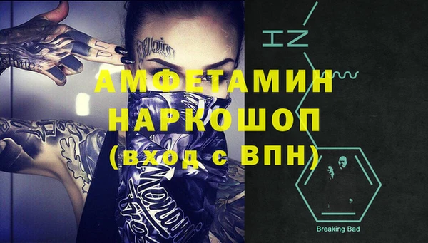 шишки Бородино