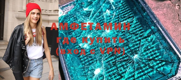 шишки Бородино