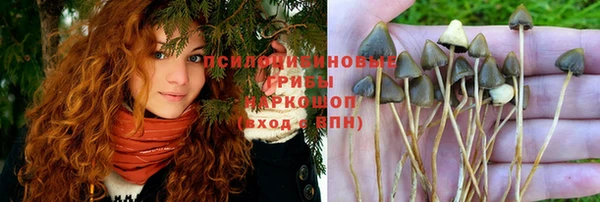 шишки Бородино