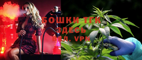 шишки Бородино