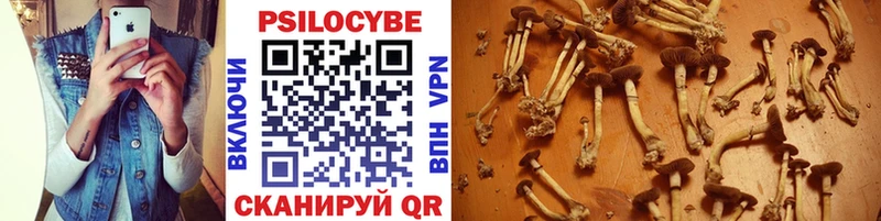 Галлюциногенные грибы ЛСД  Тулун 